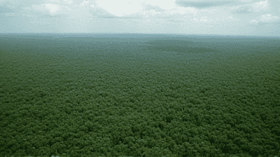 Brazil's Amazon Policies Under Lula: Reversing Deforestation or Empty Promises?