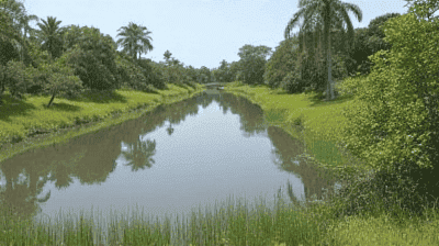 The Ramsar Convention: 50 Years of Global Wetland Protection – Success or Failure?